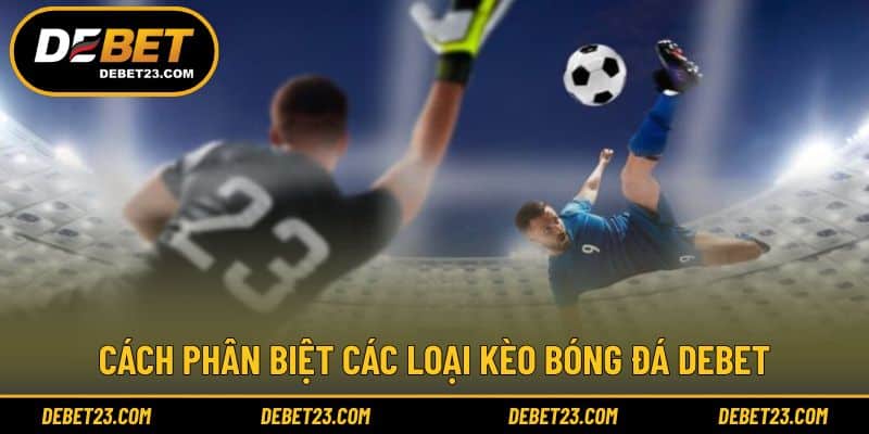 Nhận diện từng loại kèo để chọn đúng cửa phù hợp